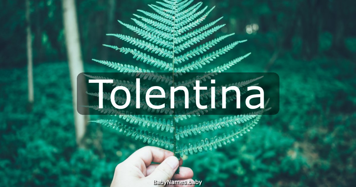Tolentina