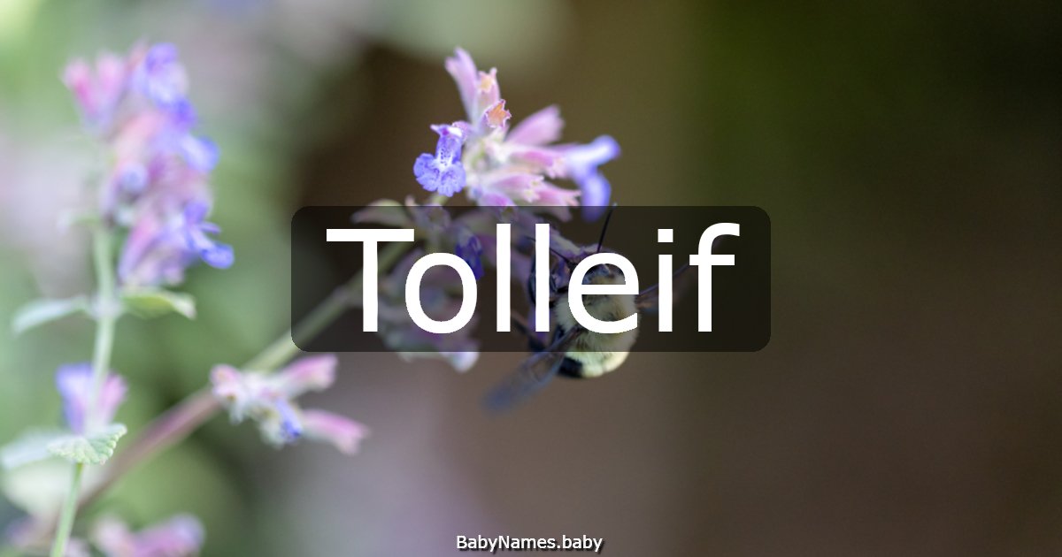 Tolleif