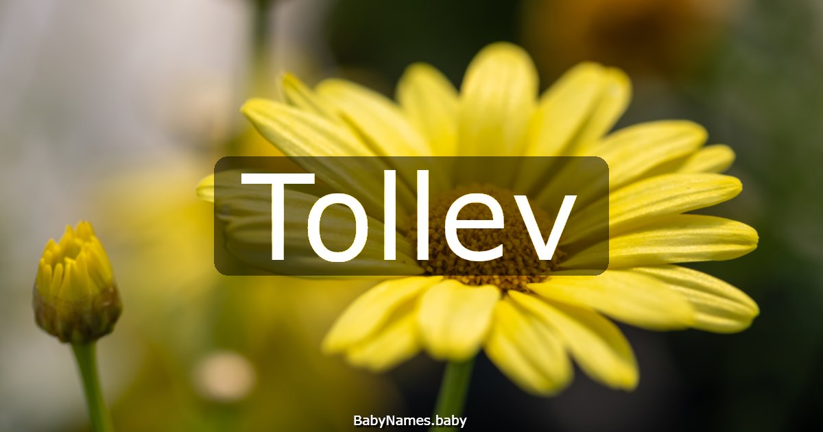 Tollev