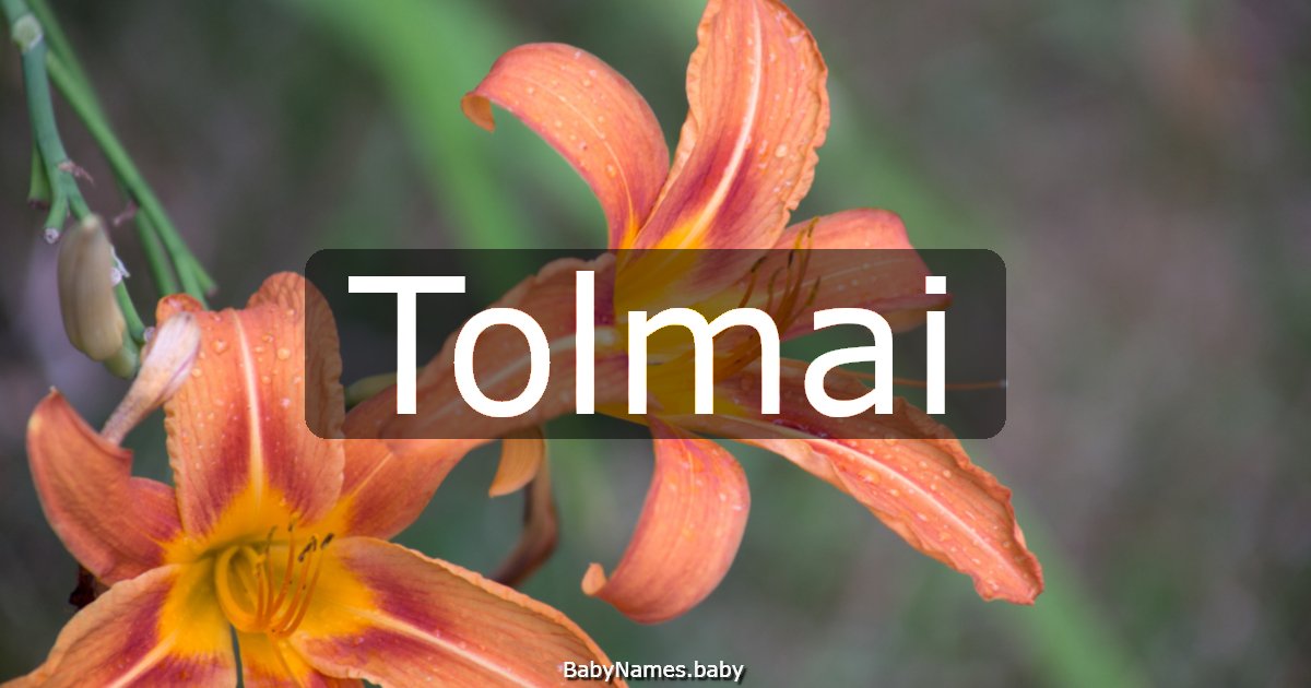 Tolmai