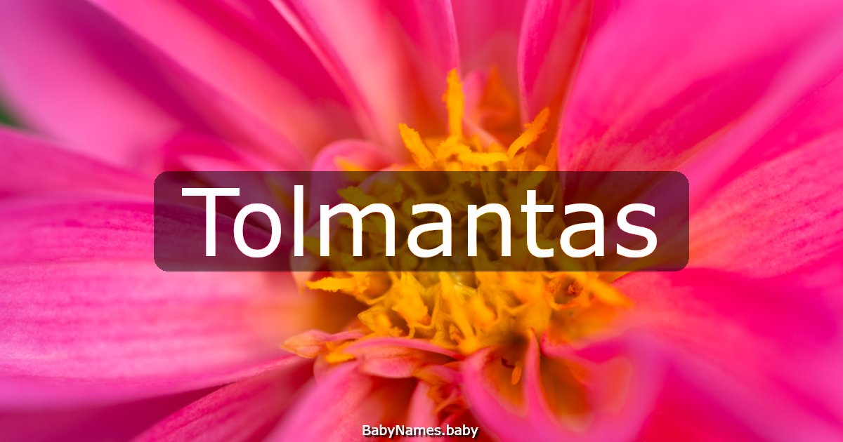 Tolmantas