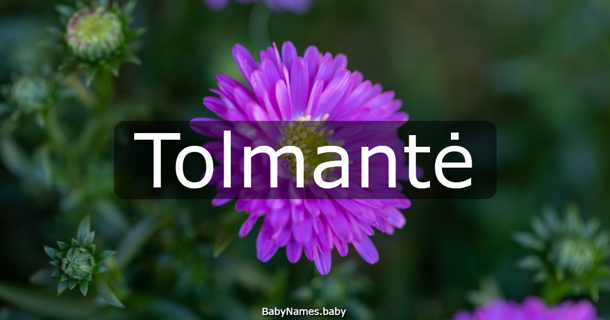 Tolmantė