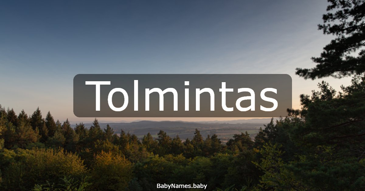 Tolmintas
