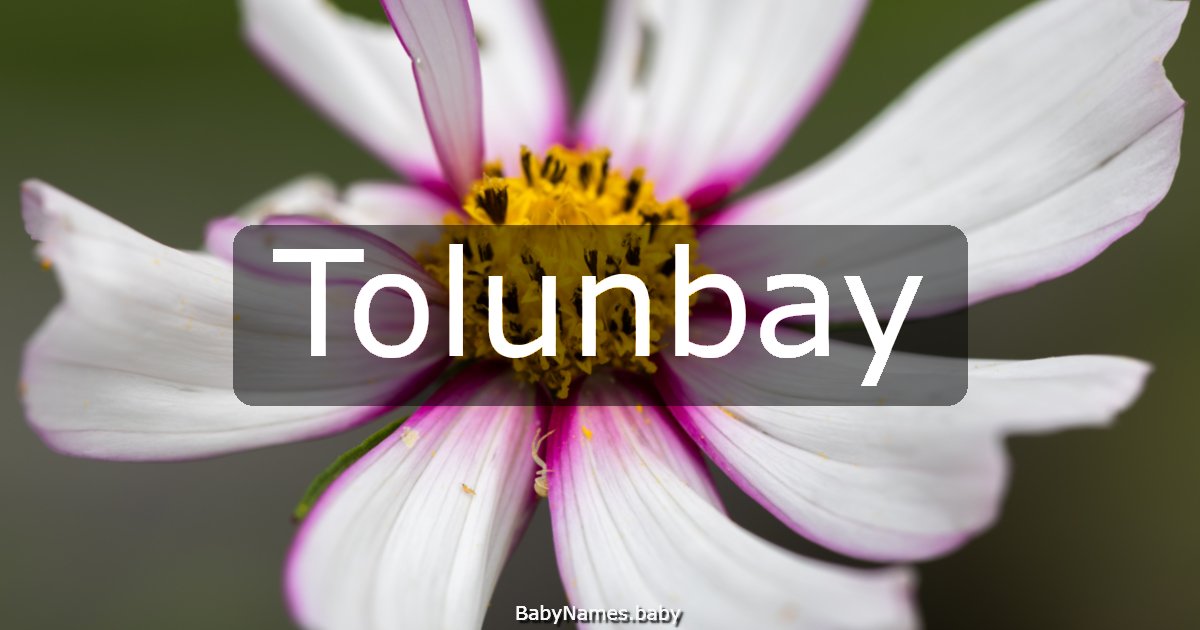 Tolunbay
