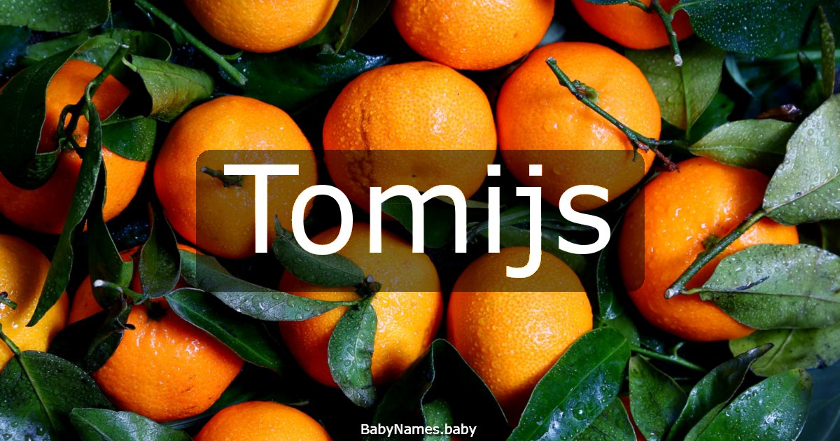Tomijs