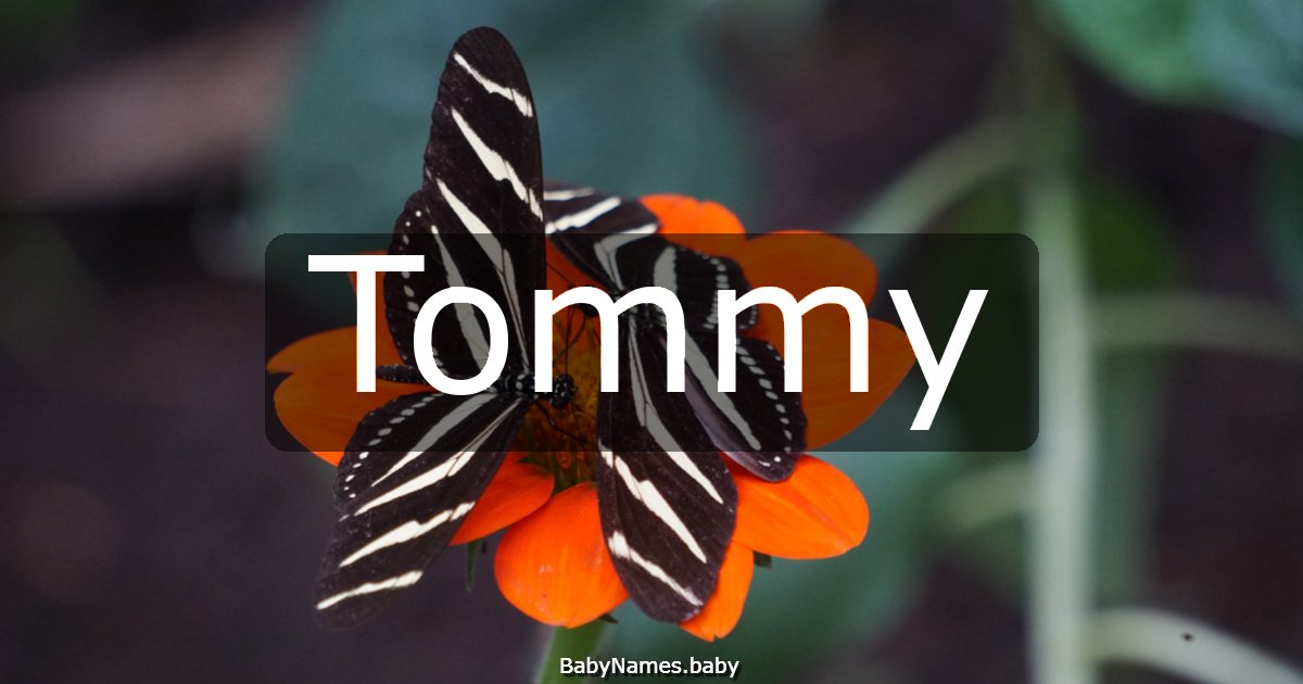 Tommy