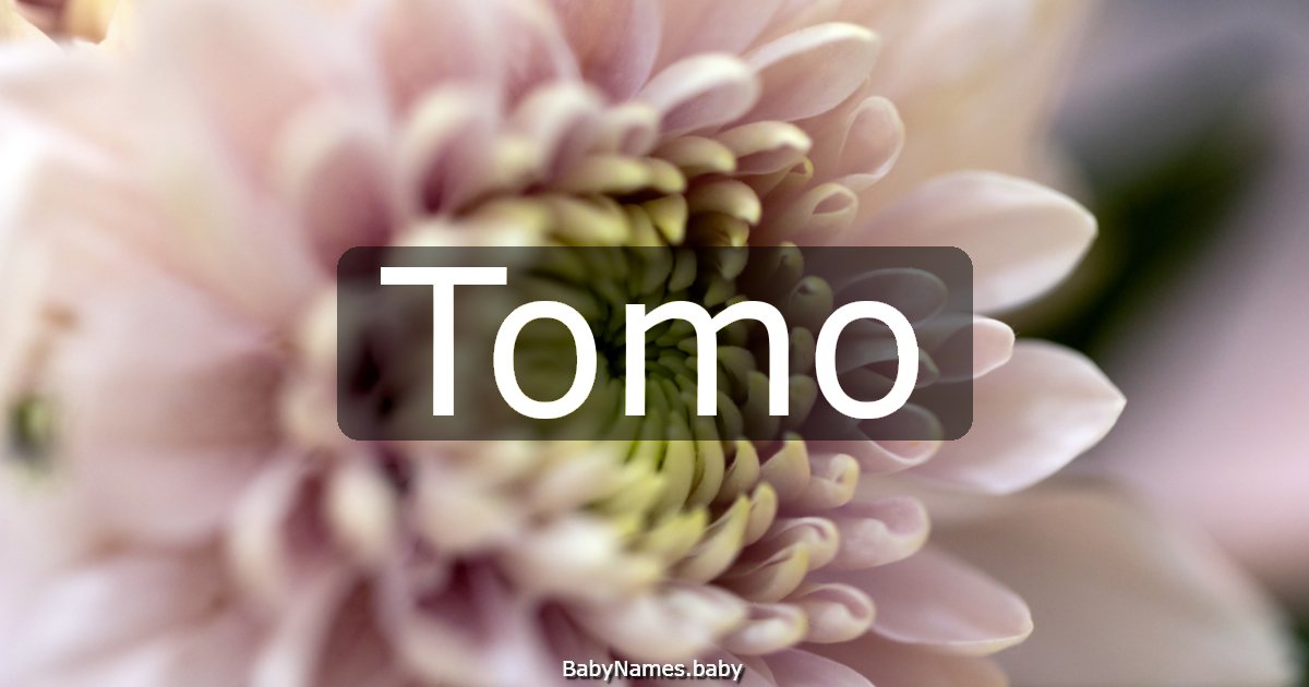 Tomo