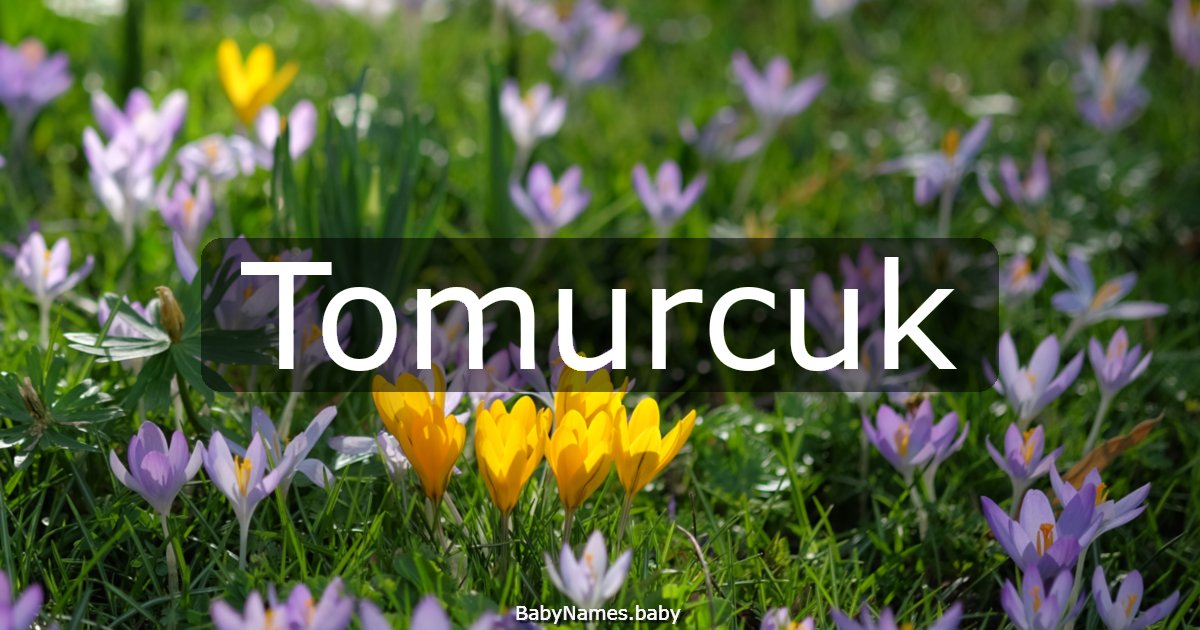 Tomurcuk