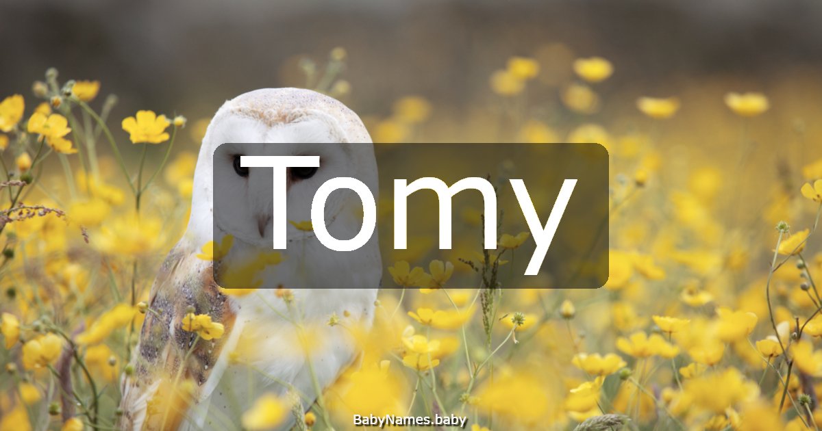 Tomy