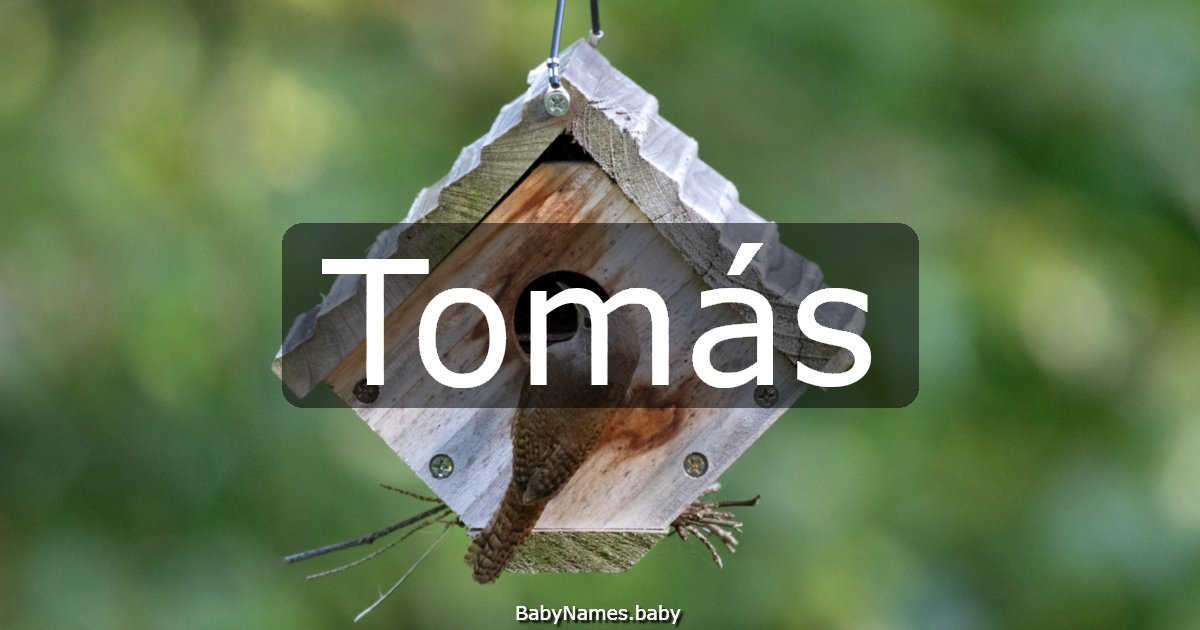 Tomás