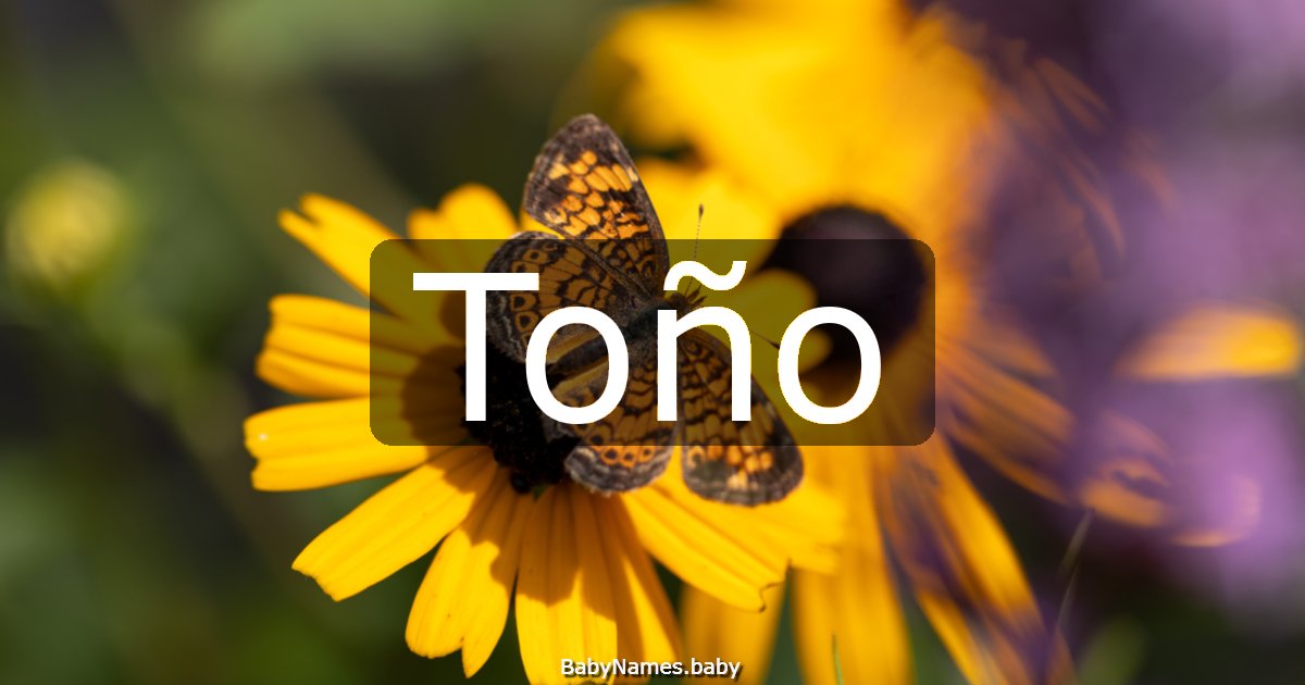 Toño
