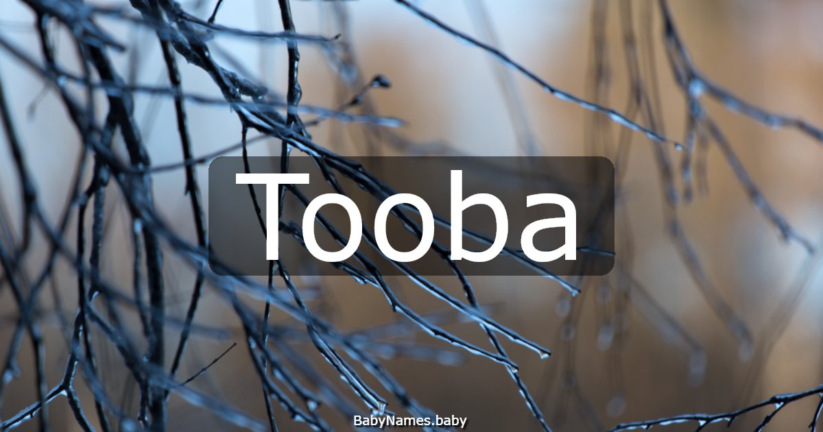 Tooba