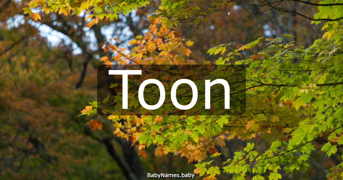 Toon
