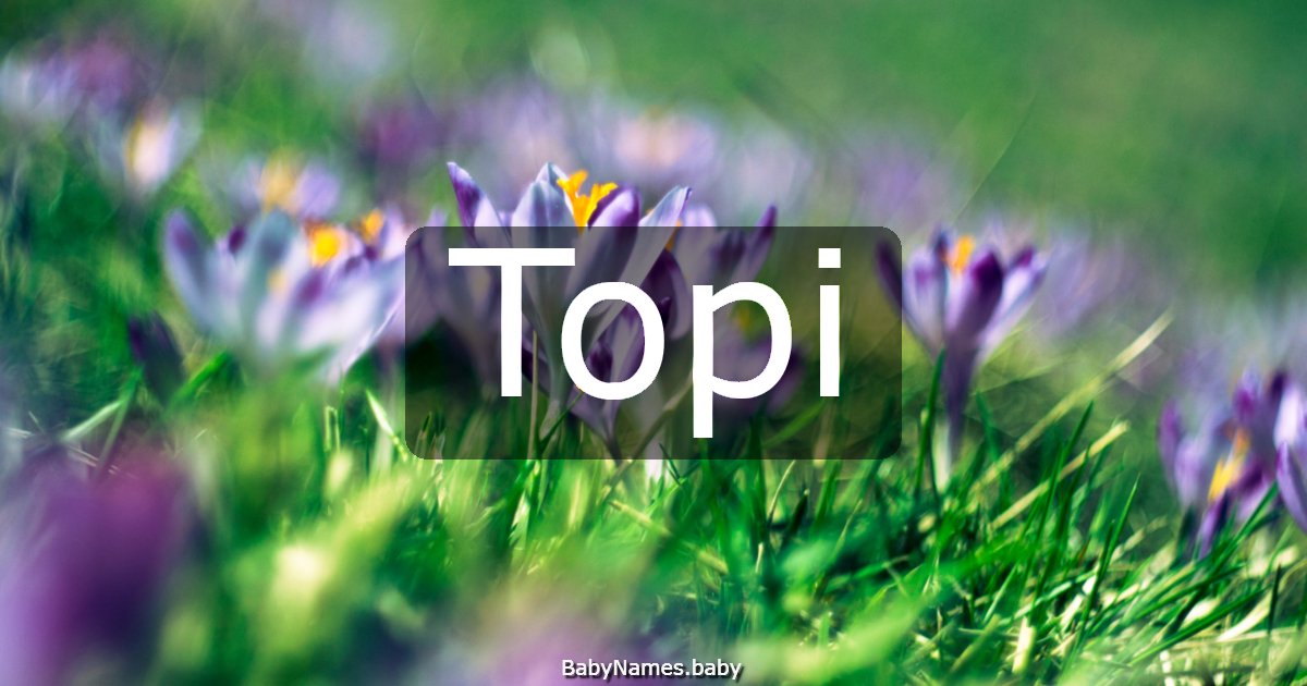 Topi