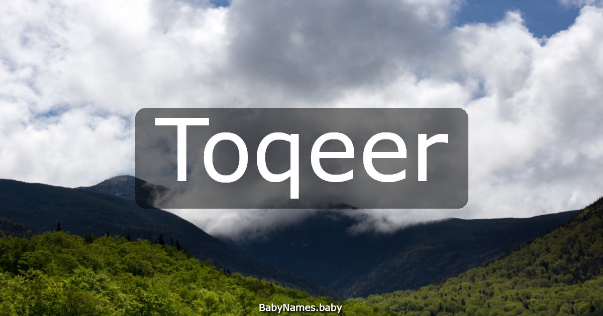 Toqeer
