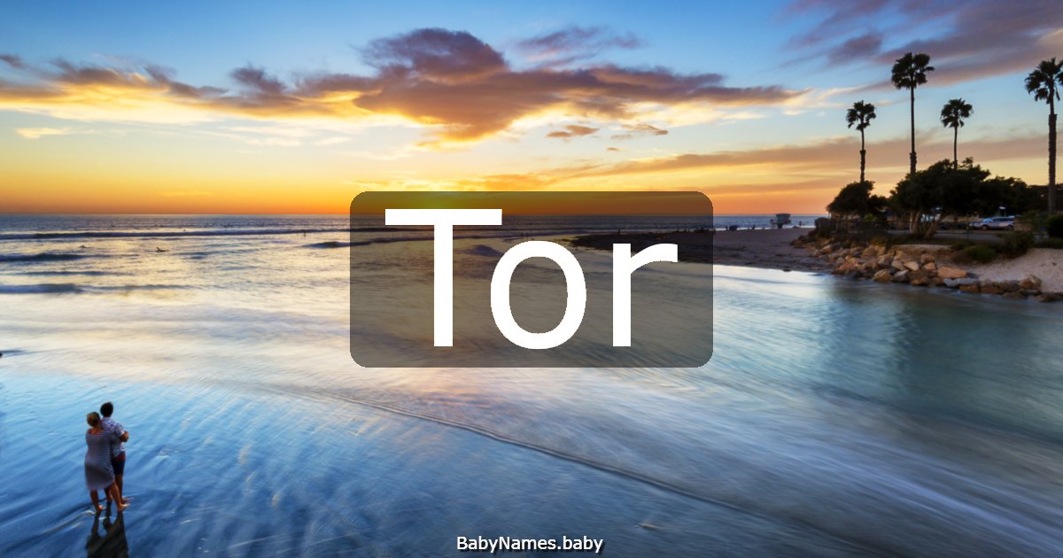 Tor