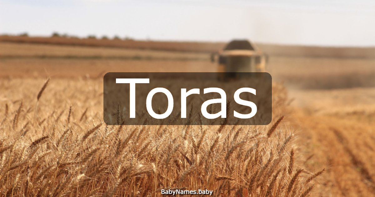 Toras