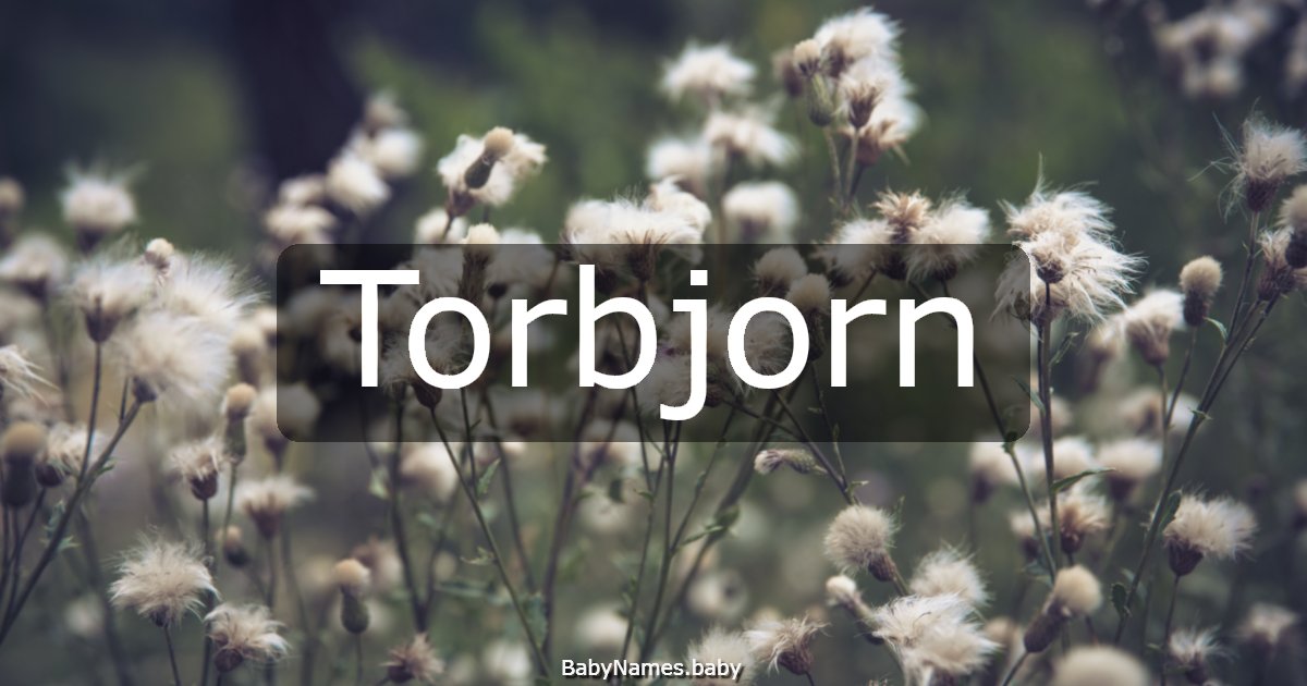 Torbjorn