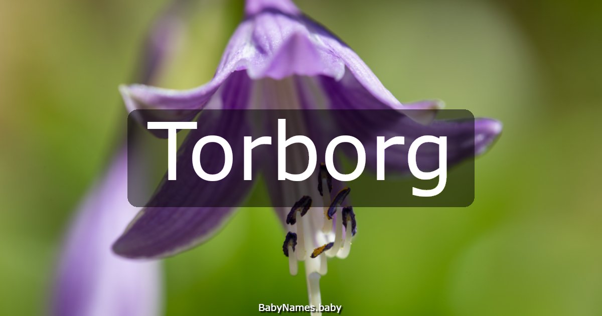 Torborg