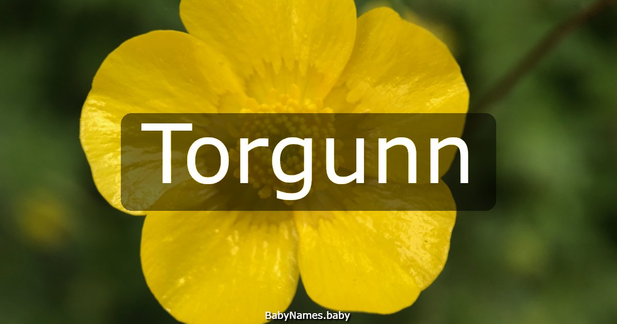 Torgunn