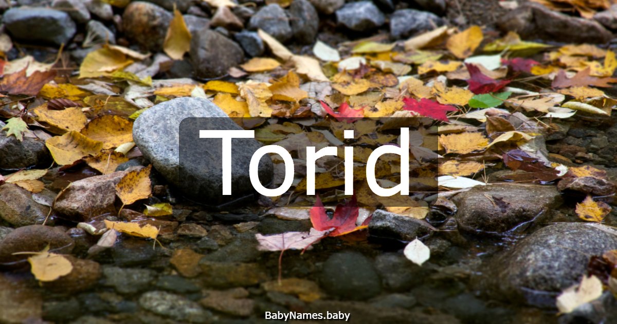 Torid