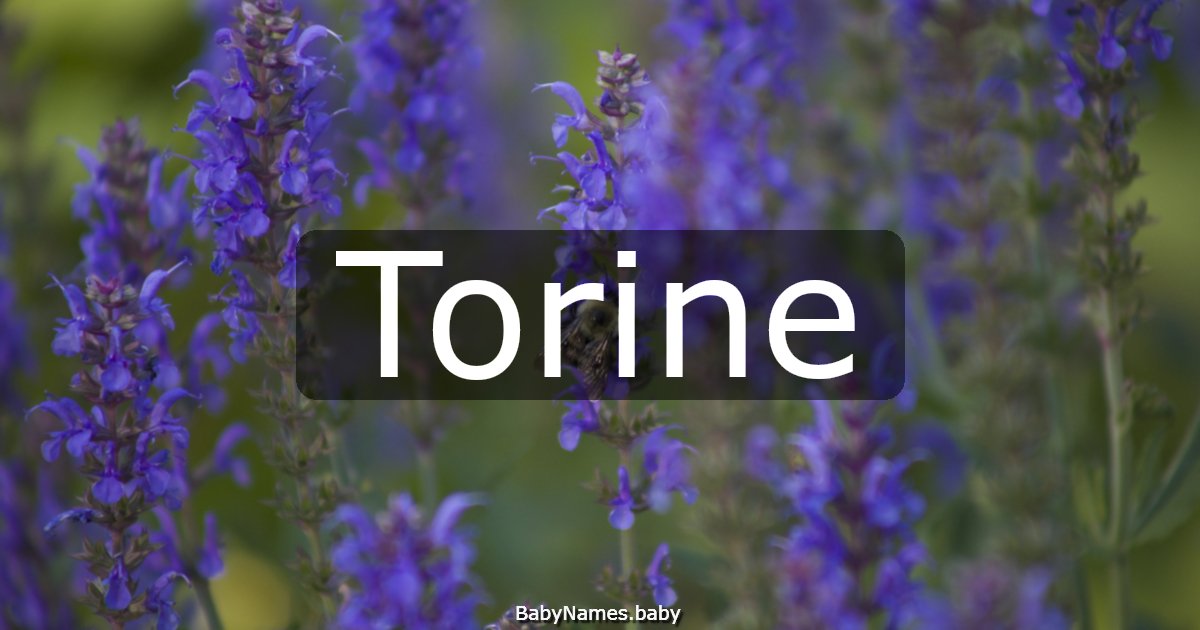 Torine