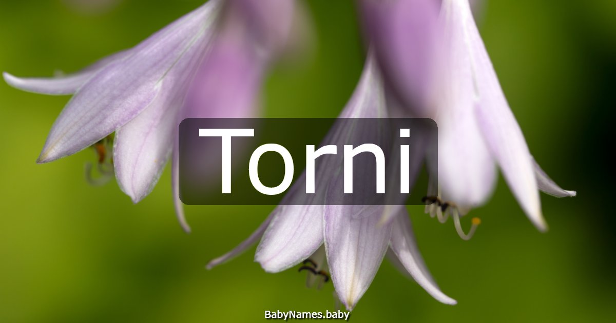 Torni