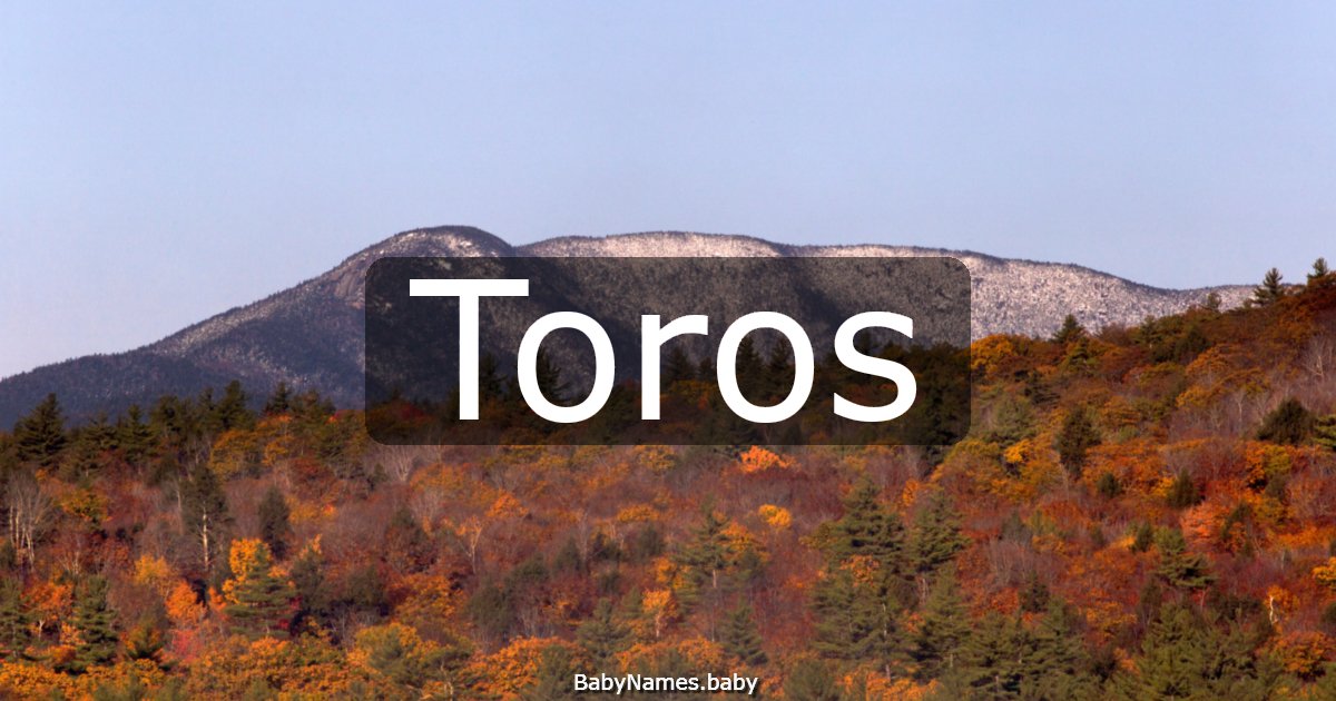 Toros