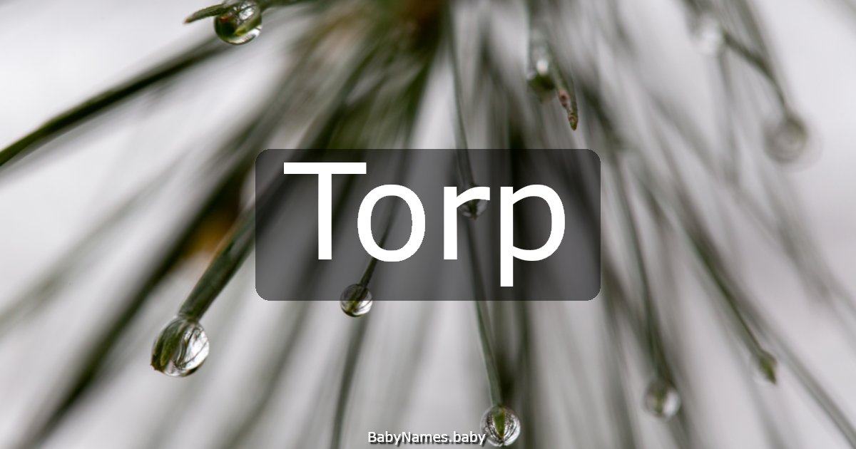 Torp
