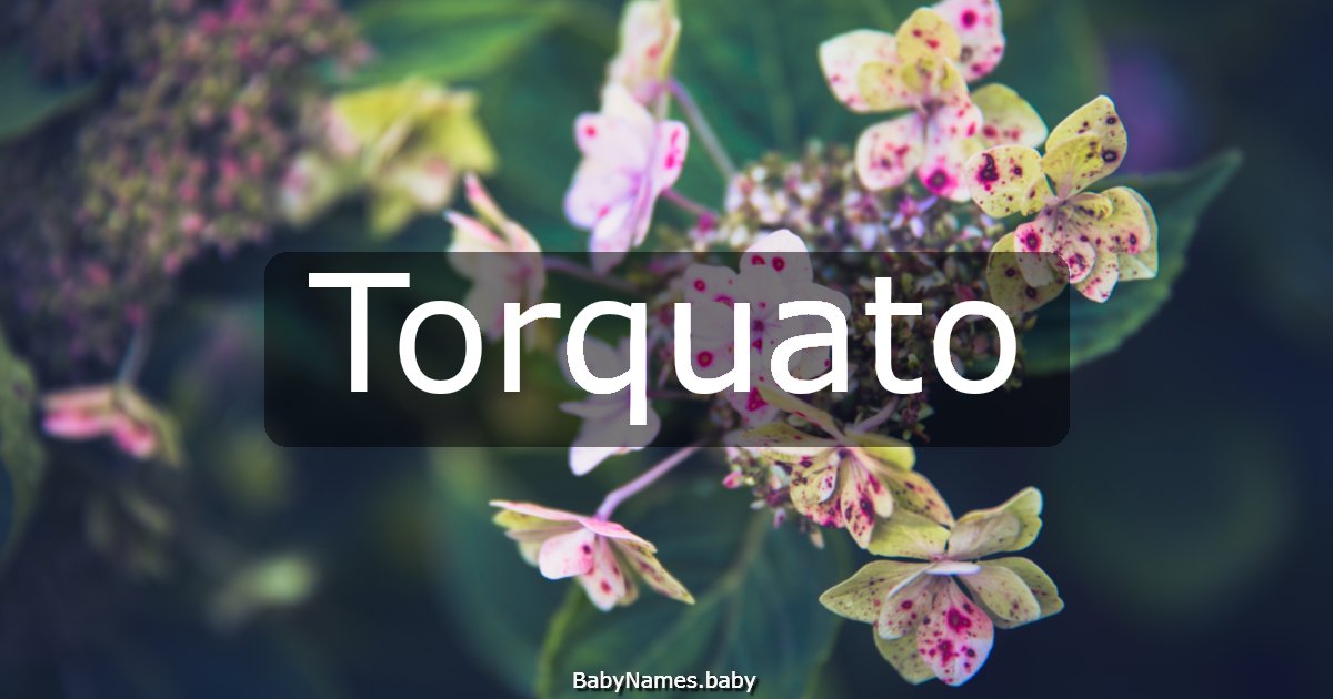 Torquato