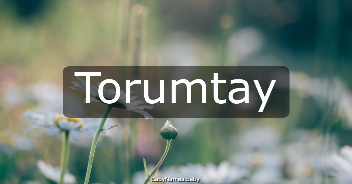 Torumtay