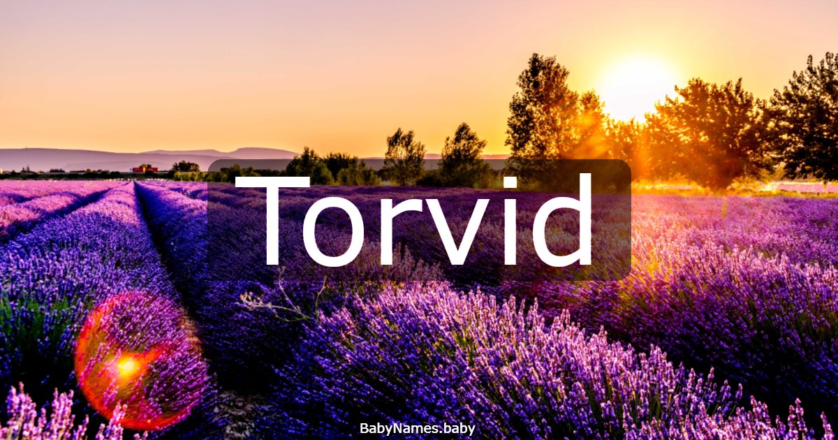 Torvid
