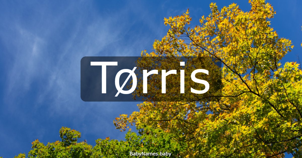 Tørris