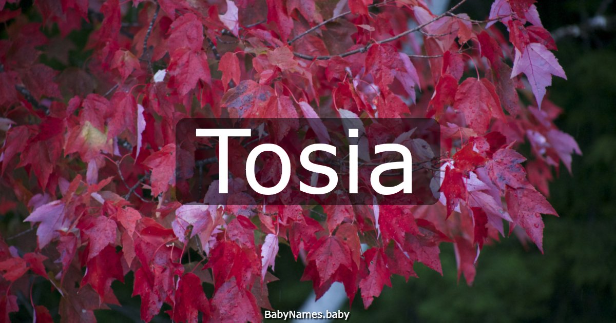 Tosia