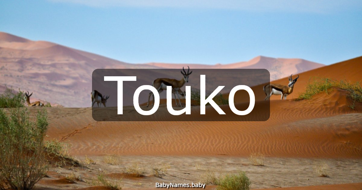 Touko