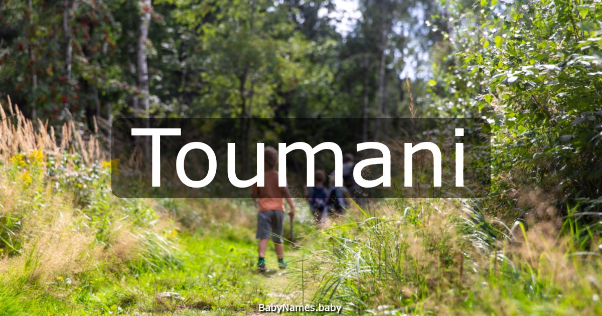Toumani