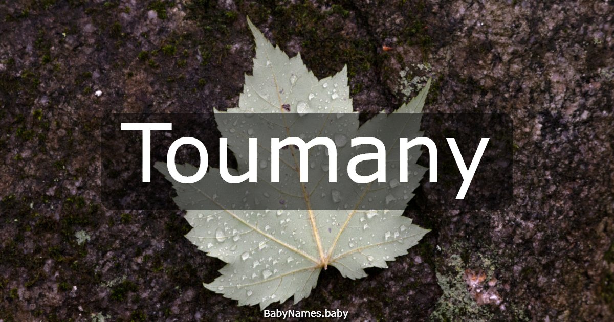 Toumany