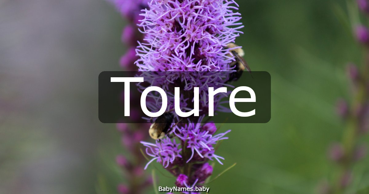 Toure