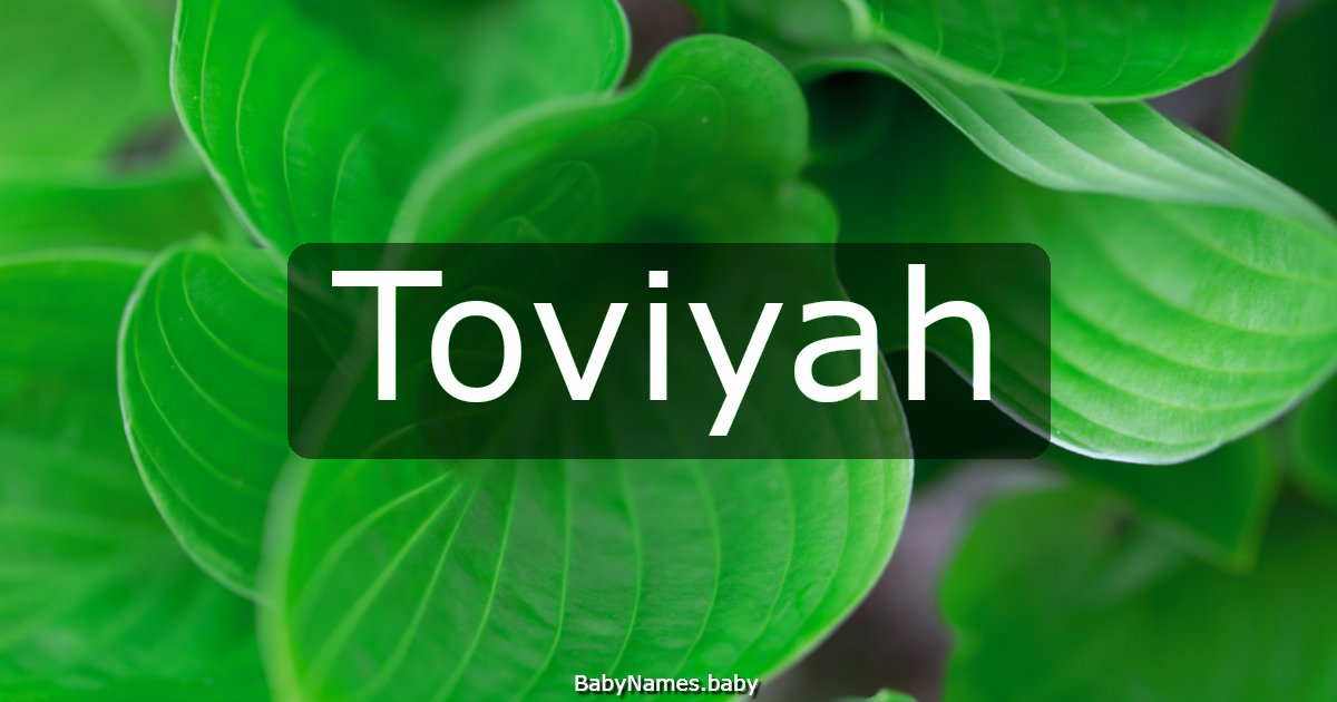 Toviyah