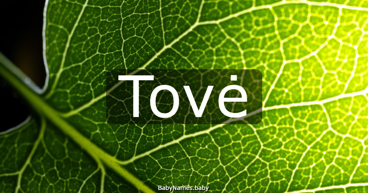 Tovė