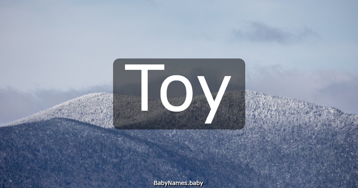 Toy