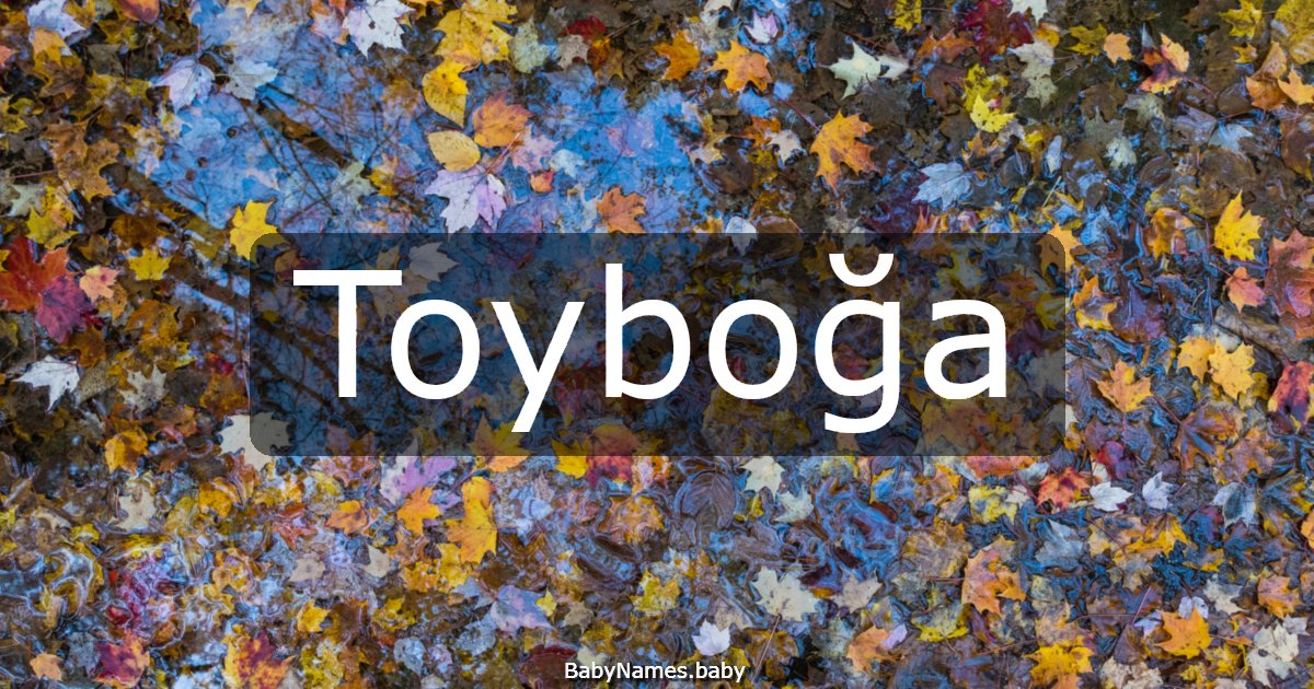 Toyboğa