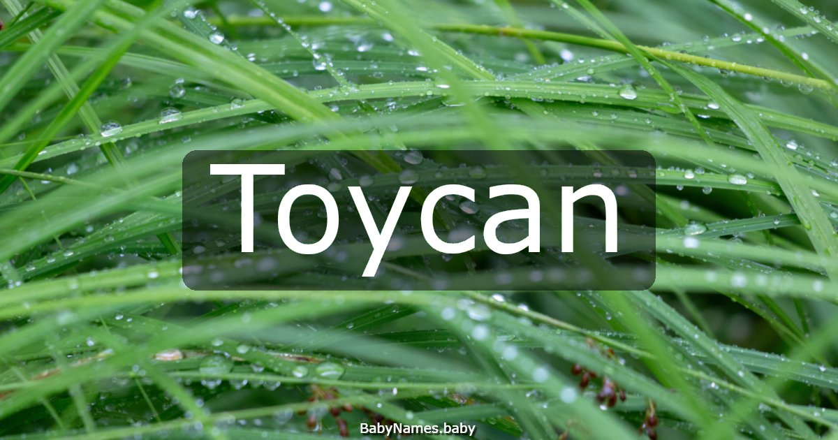 Toycan