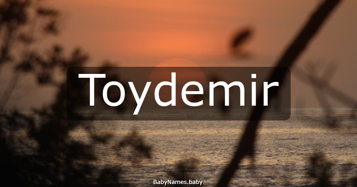 Toydemir