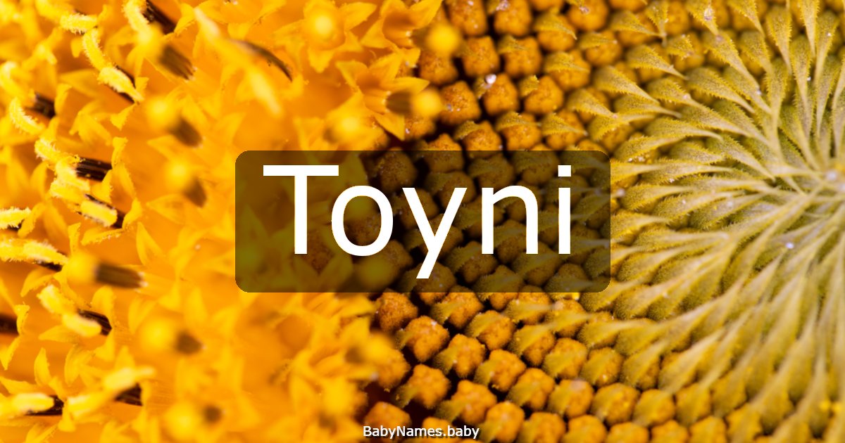 Toyni