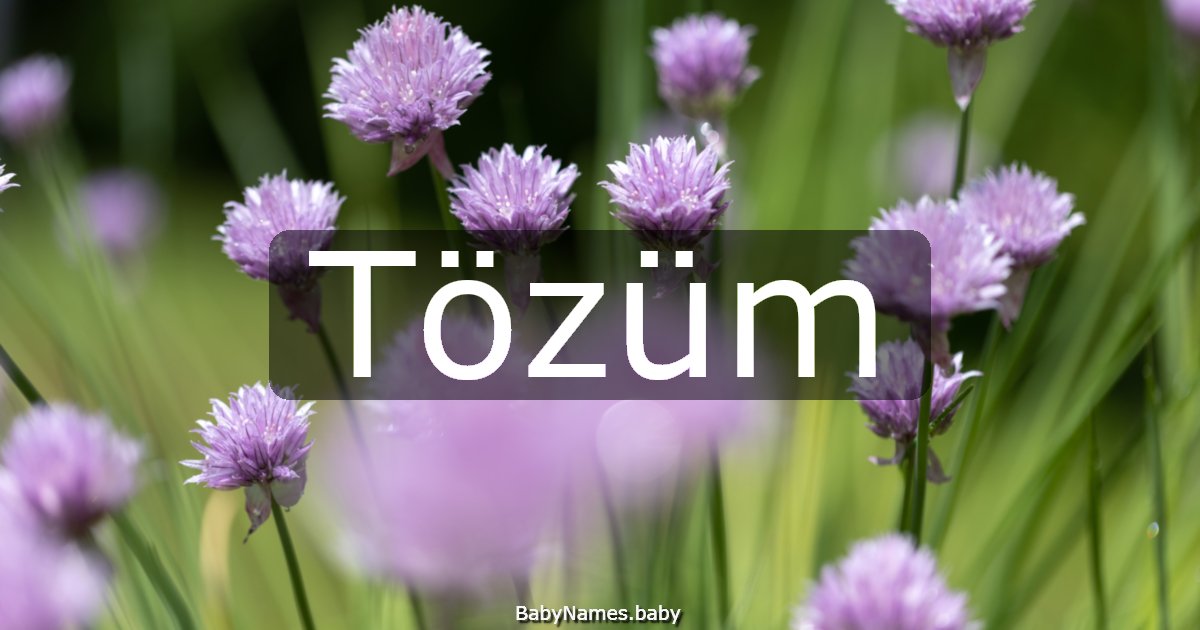 Tözüm
