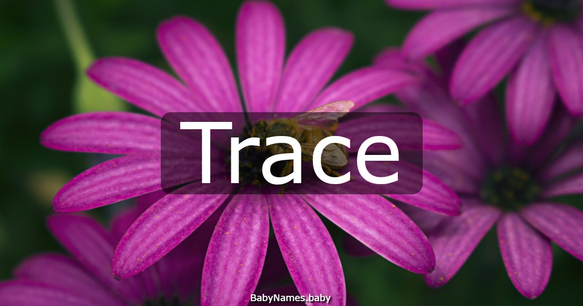 Trace