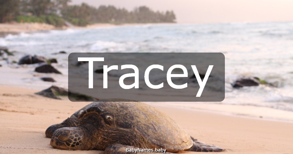 Tracey