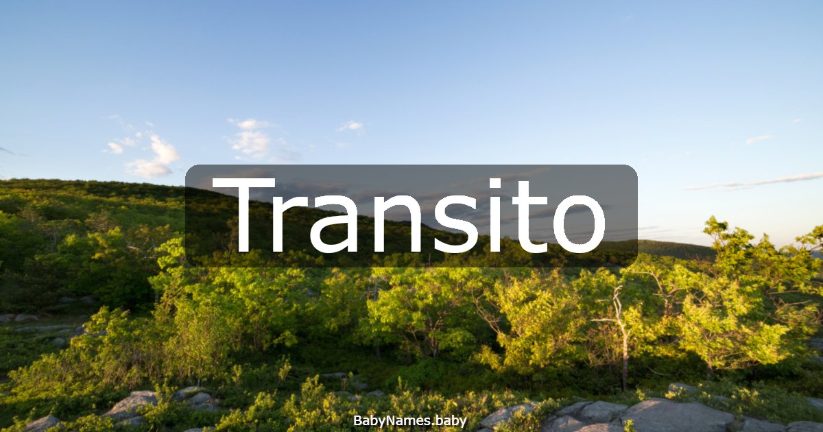 Transito