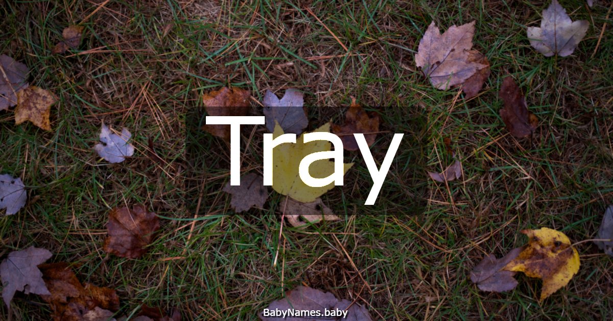 Tray